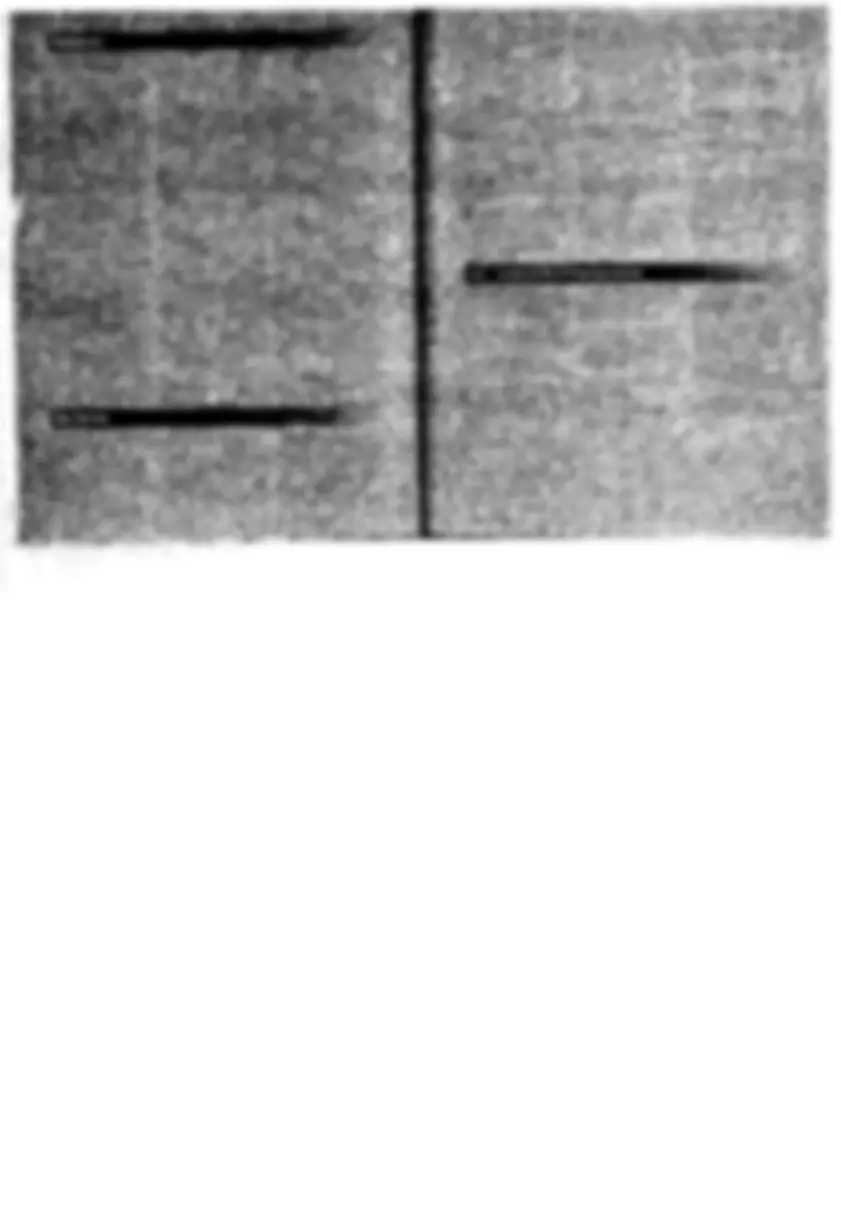 pf26