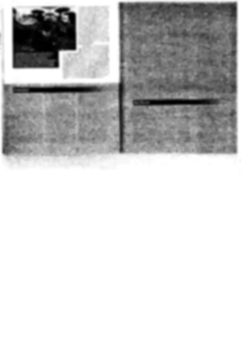 pf1b