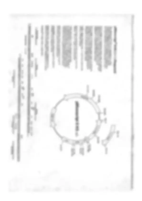 pf18