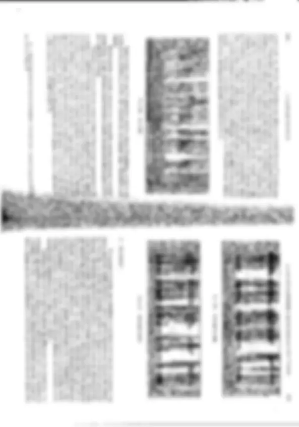 pfa