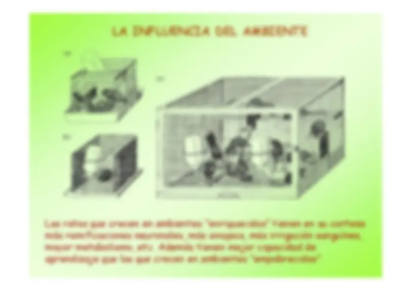 pf5