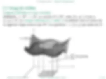 pf3