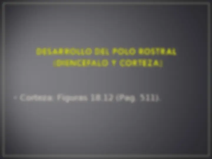 pf24