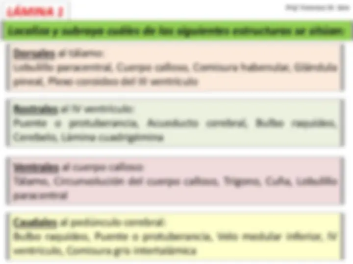 pf3