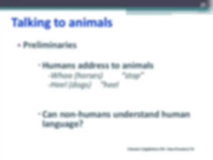 pf38
