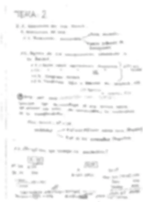 pf29