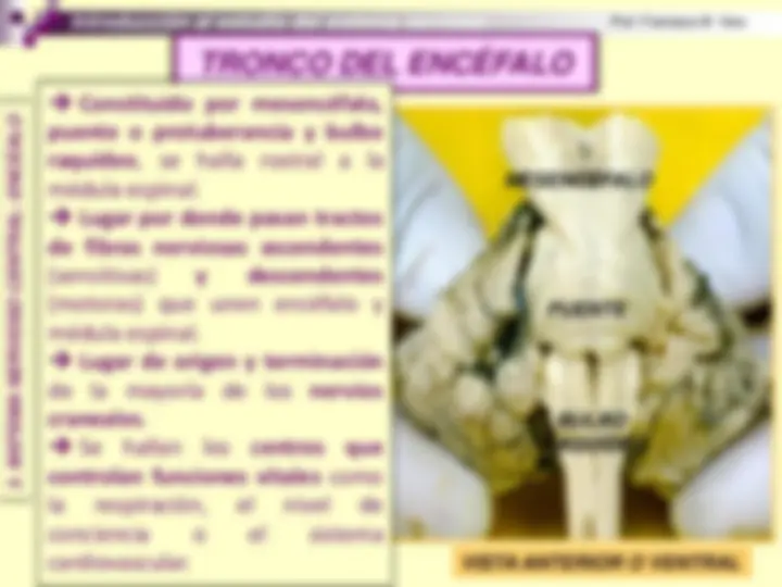 pf27
