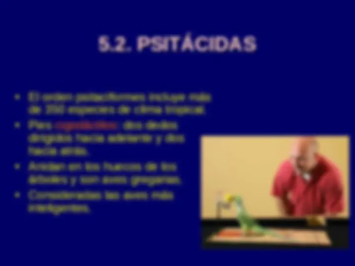 pf29