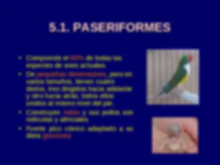 pf15