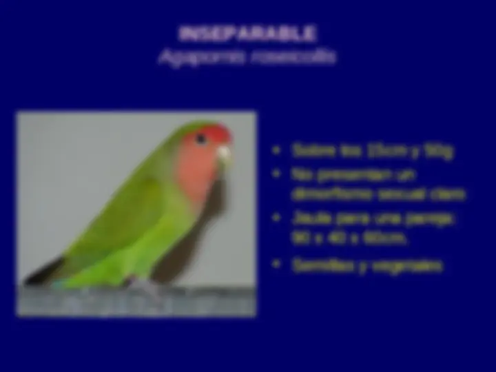 pf2d