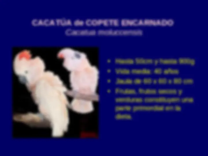 pf3c