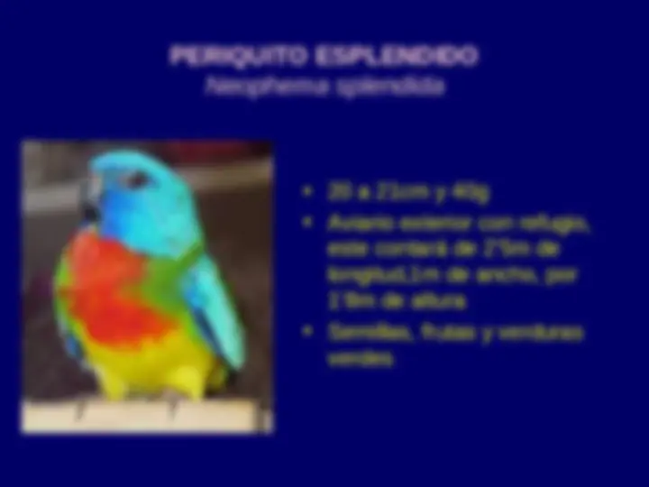pf2f