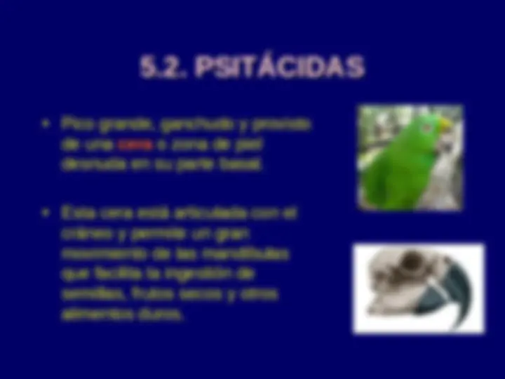 pf2a