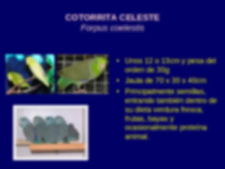 pf2c