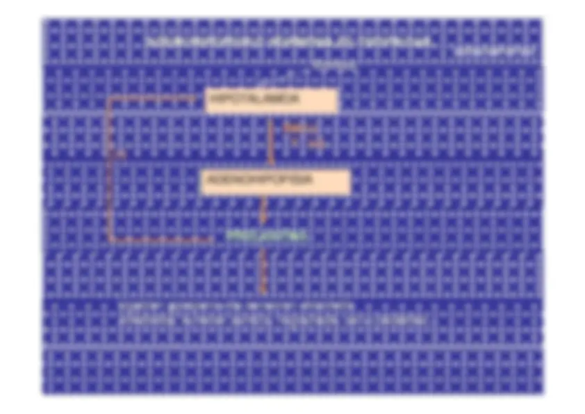 pf1b