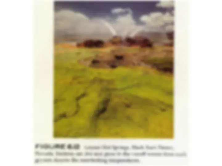 pf3e