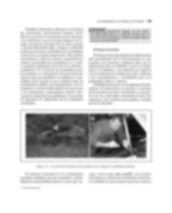pf27