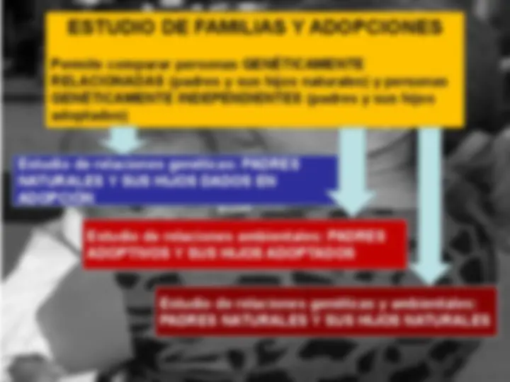 pf13