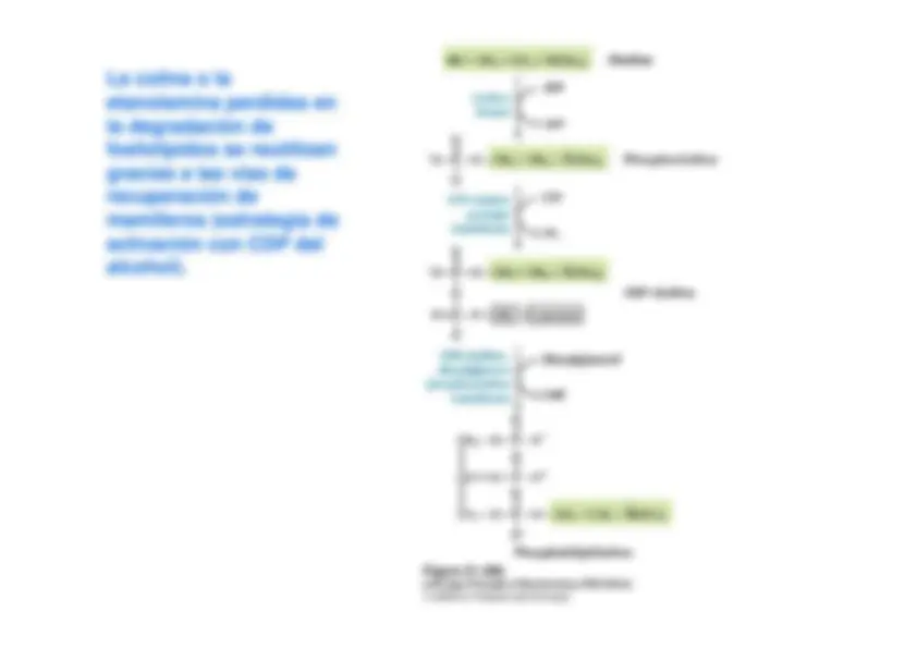 pf9