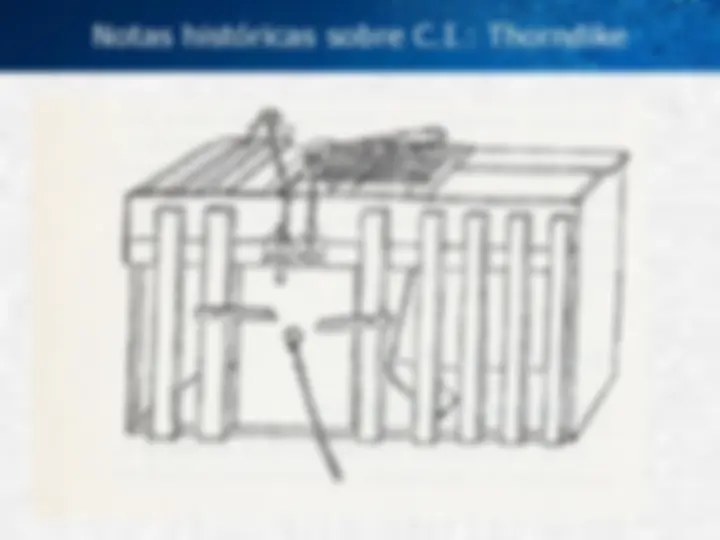 pf24