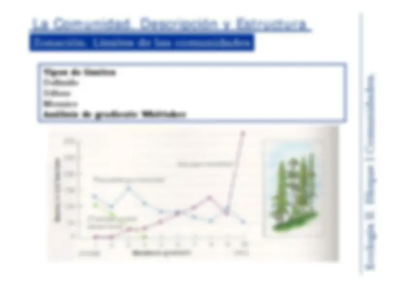pf19