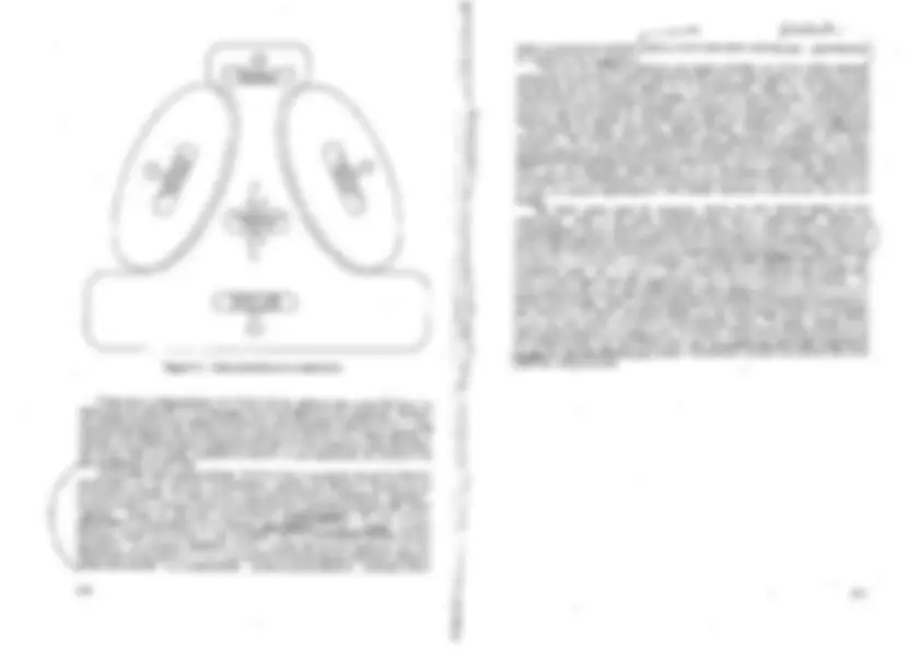 pf48