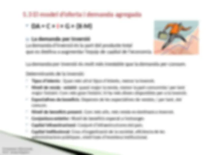 pf24