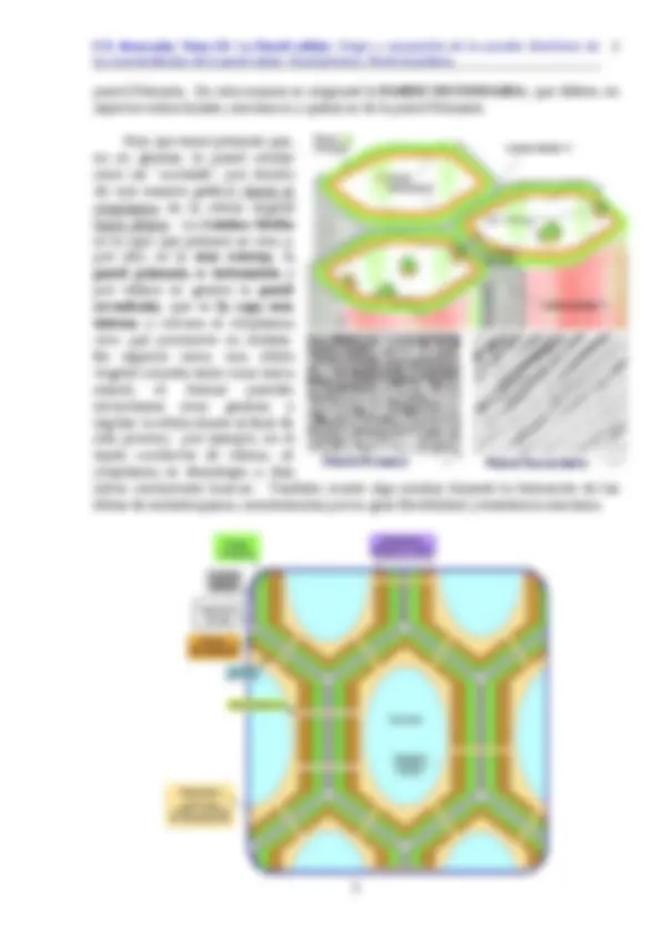 pf3