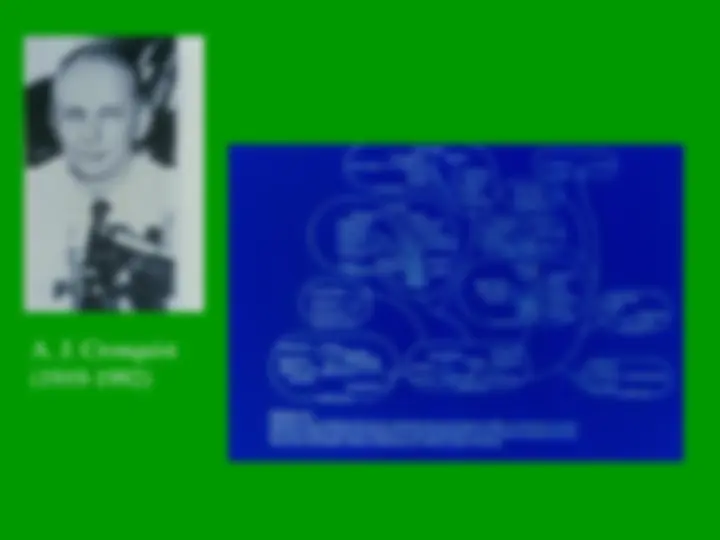 pf13