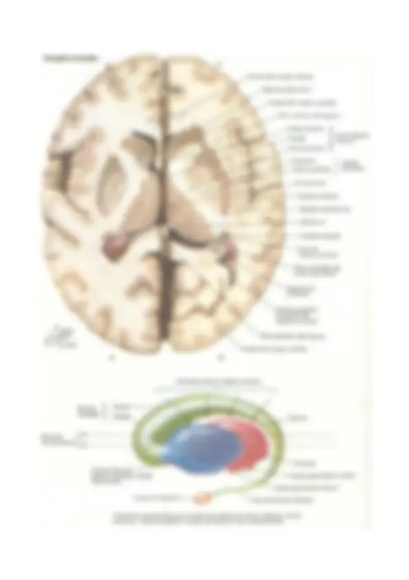 pf34