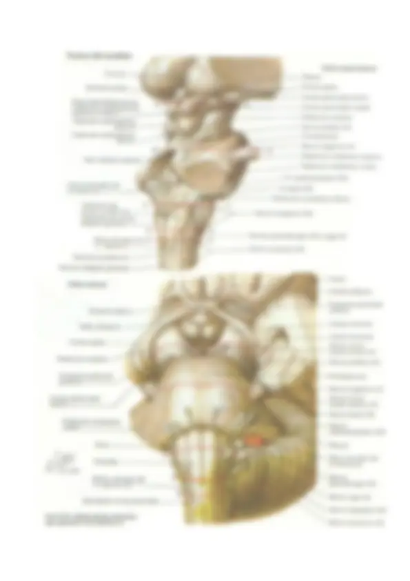 pf36