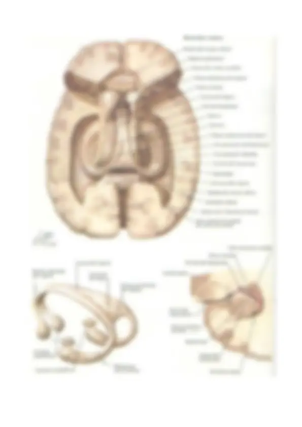 pf37