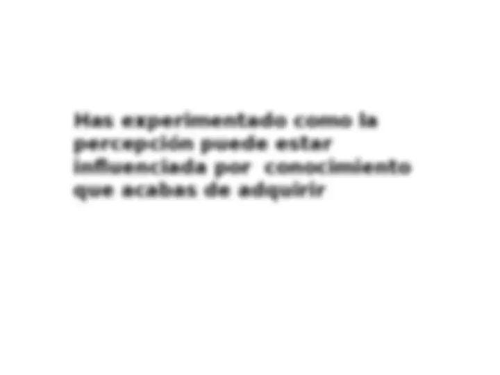 pf19