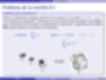 pf31