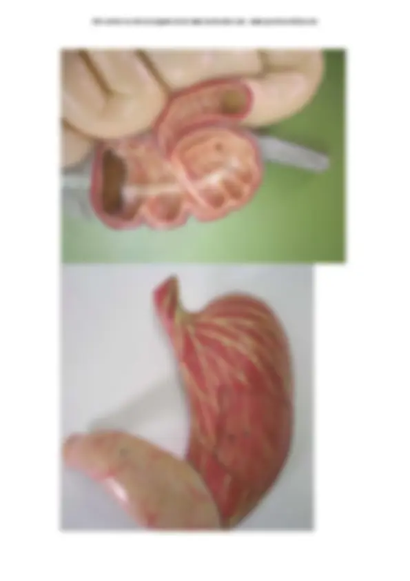 pf3