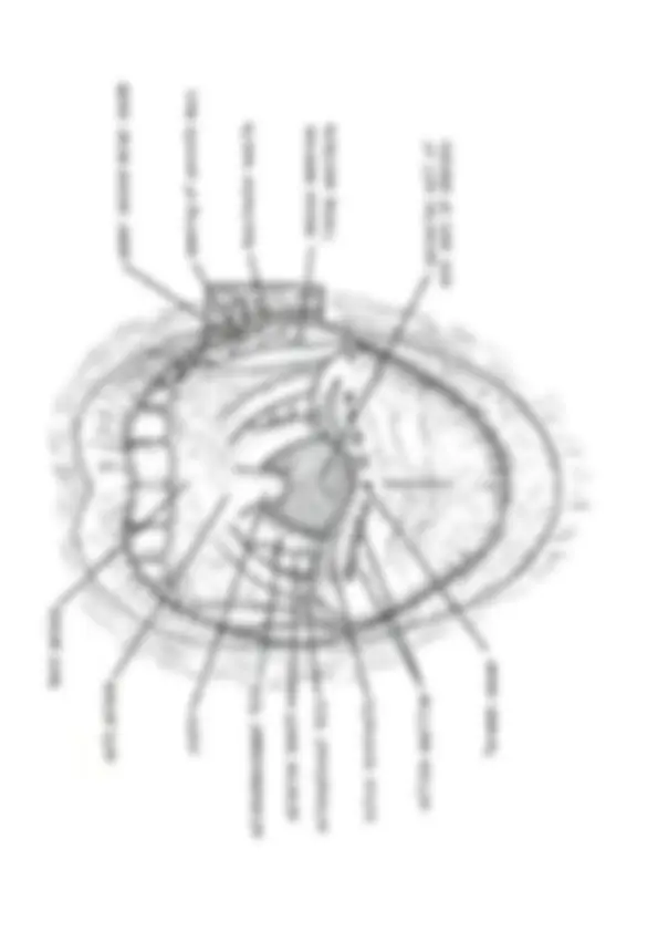 pf27