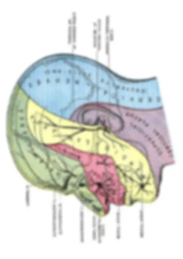 pf56