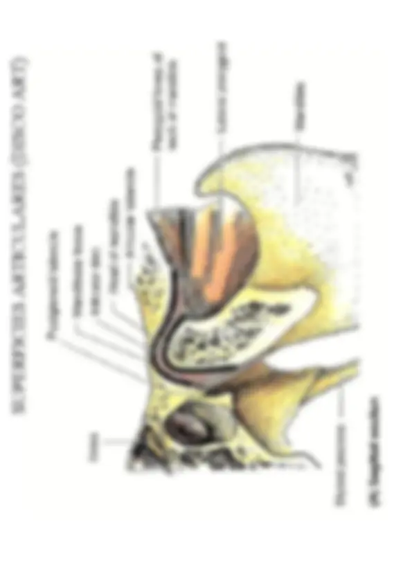 pf1a