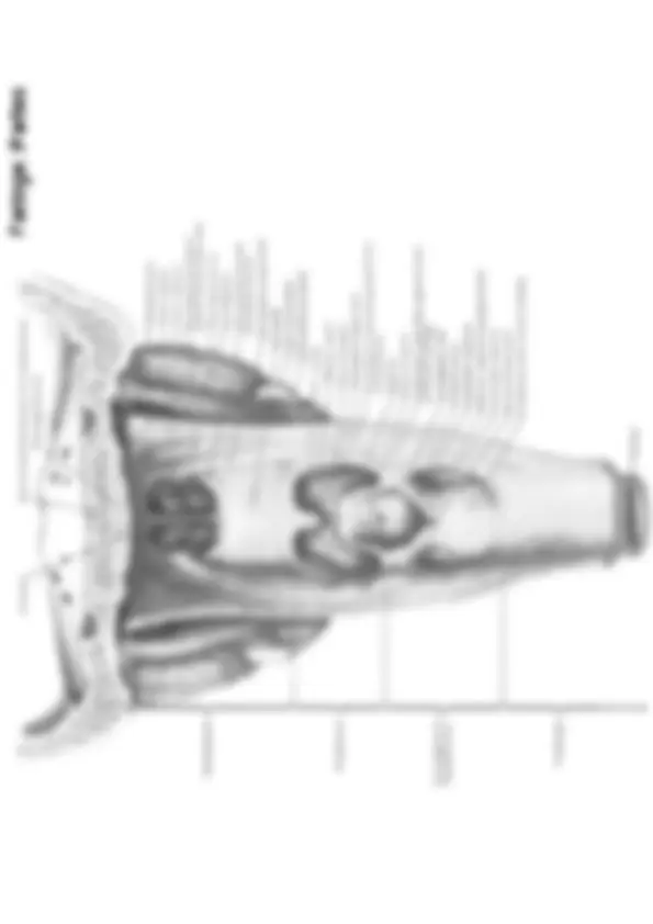 pf3e