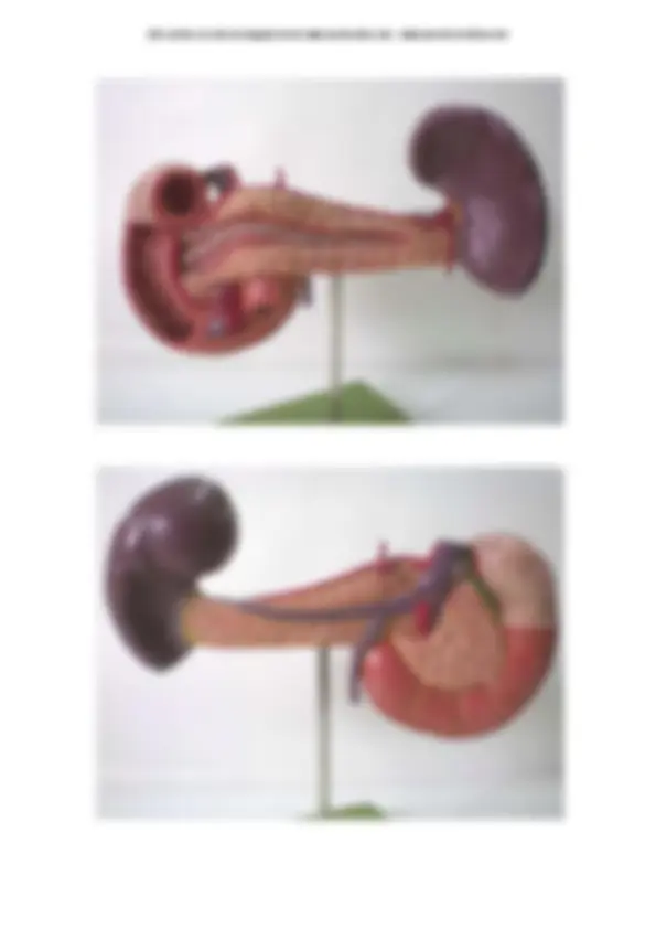 pf5
