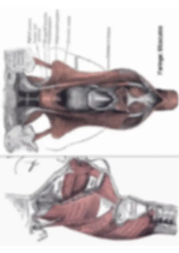 pf42