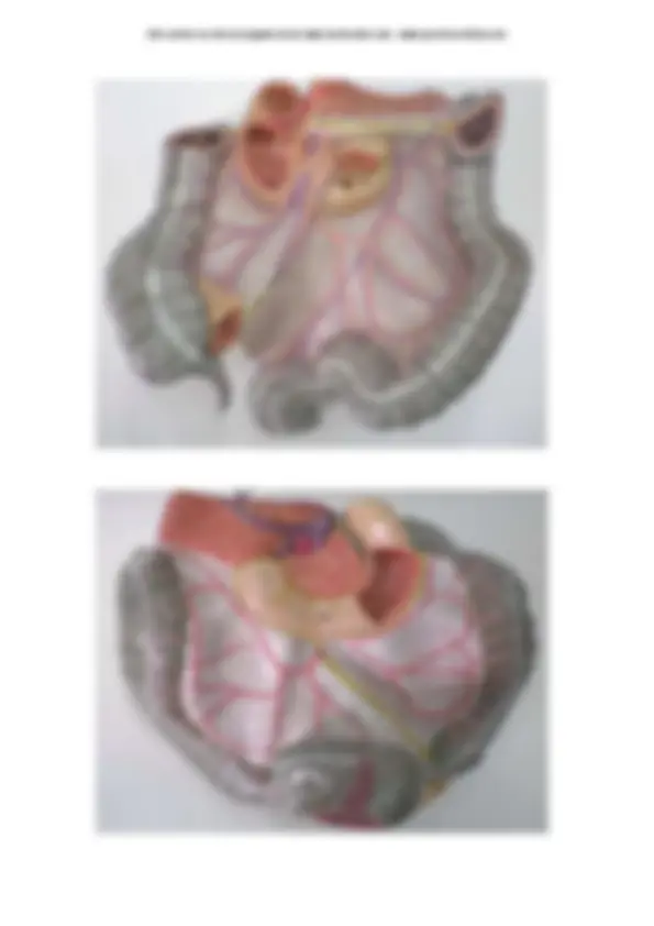 pf4
