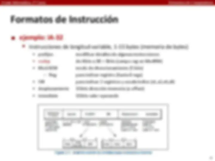 pf1f