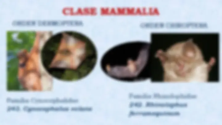 pf27