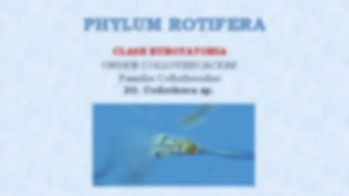 pf8