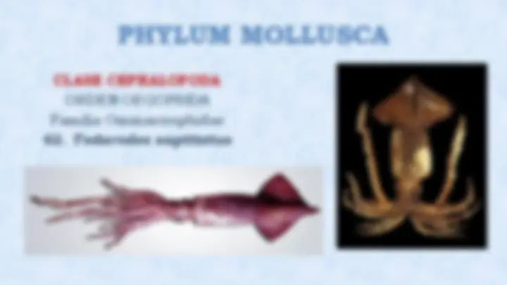 pf12