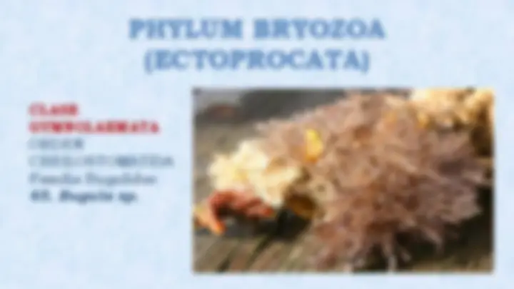 pf14