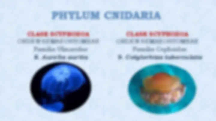 pf5