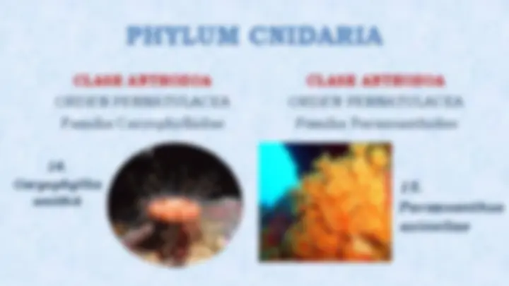 pf4