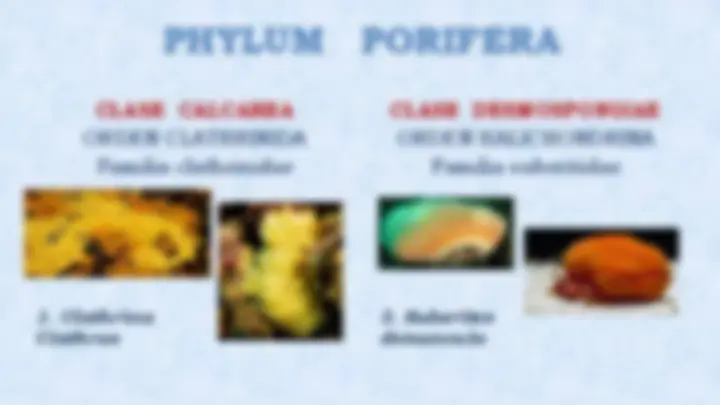 pf3